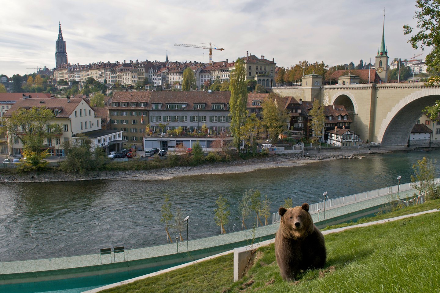 Foxtrail-Granit-Bern-Brengraben-Ausflug-3 Foxtrail Granit Bern Brengraben Ausflug 3