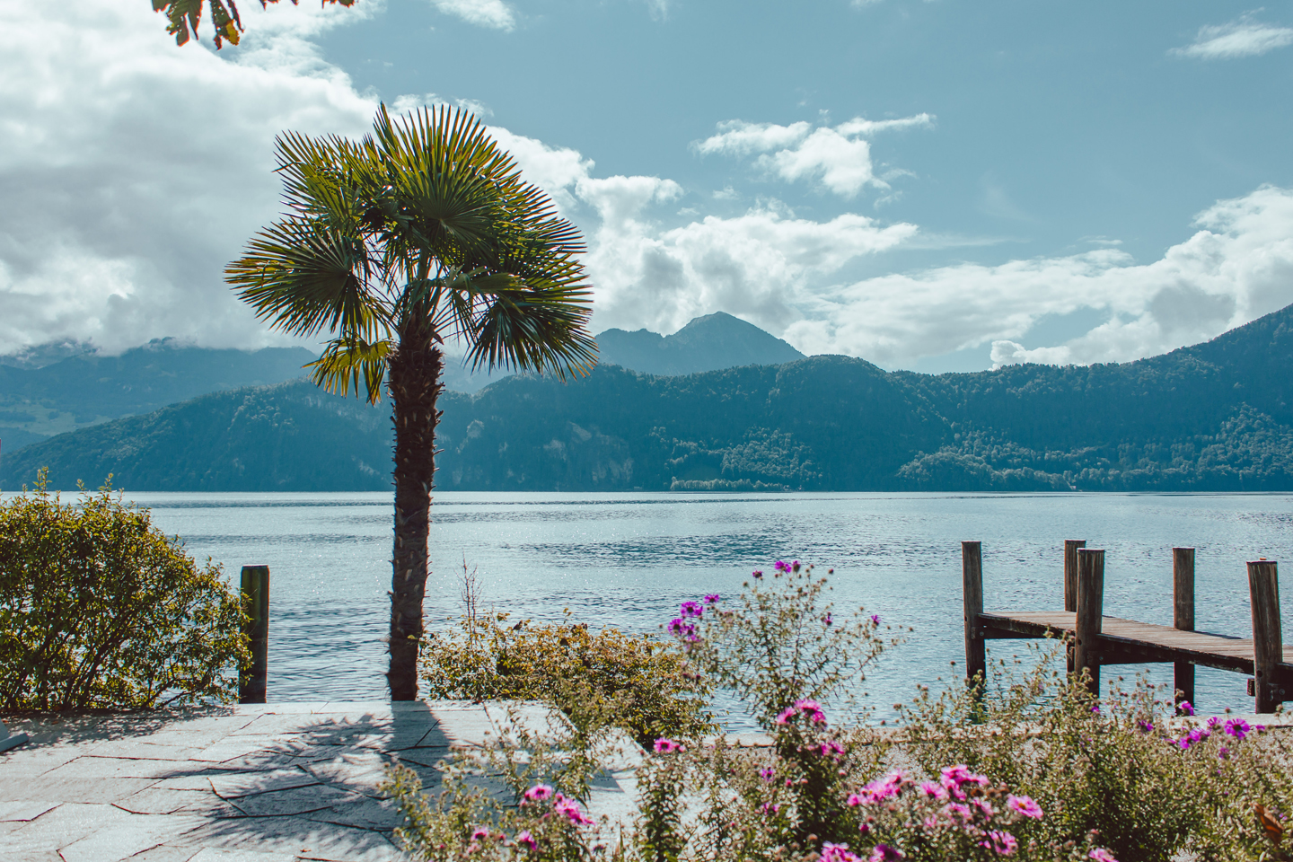 Foxtrail Helios Weggis Vitznau Ausflug