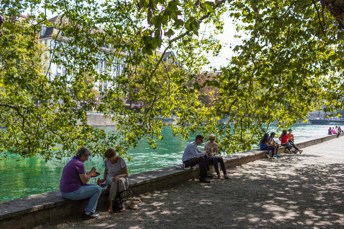 Baum, Picknick, Wasser Foxtrail Hera Zrich Platzspitz Sightseeing