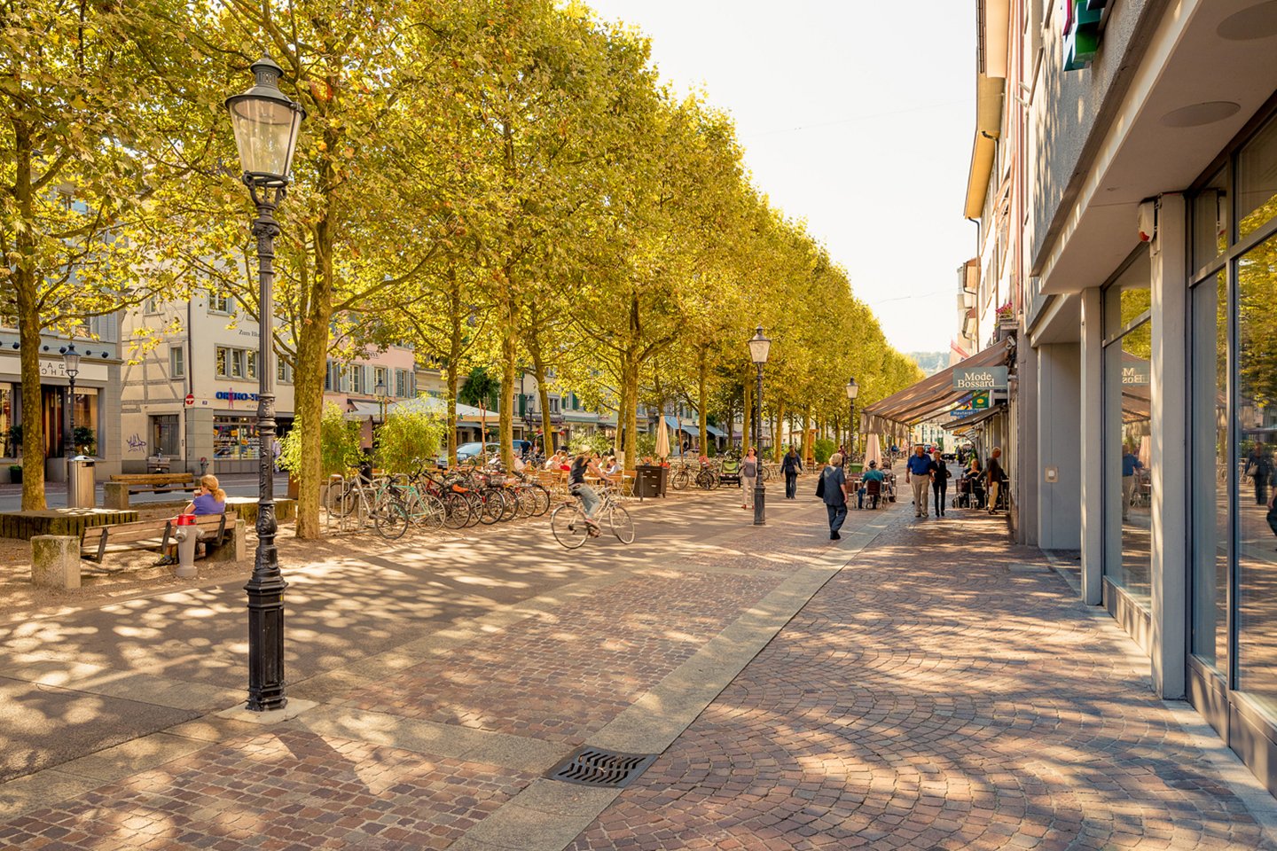 Foxtrail Rosalie Winterthur Zrich Titel 6