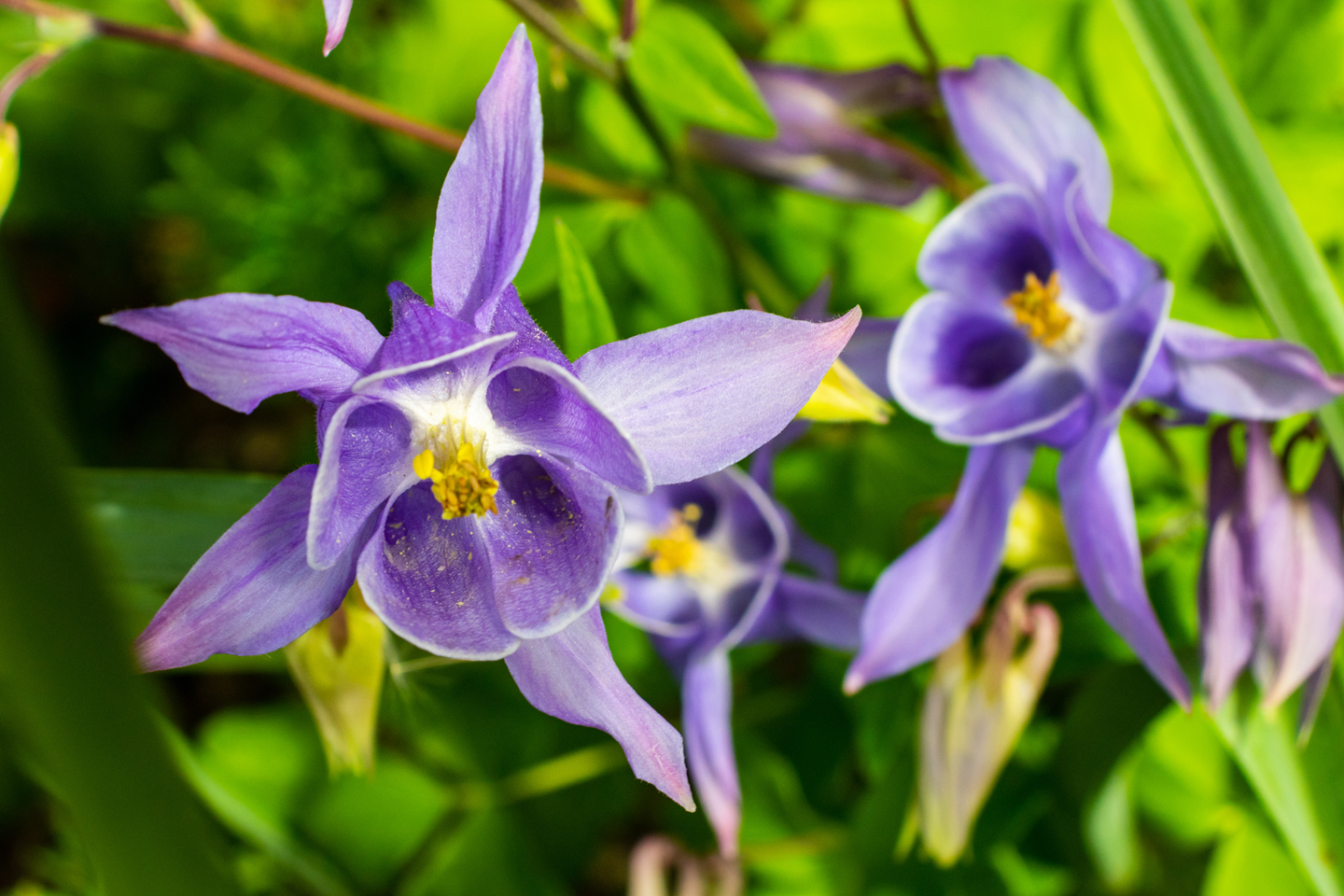 iStock 1320626740 Copy 3