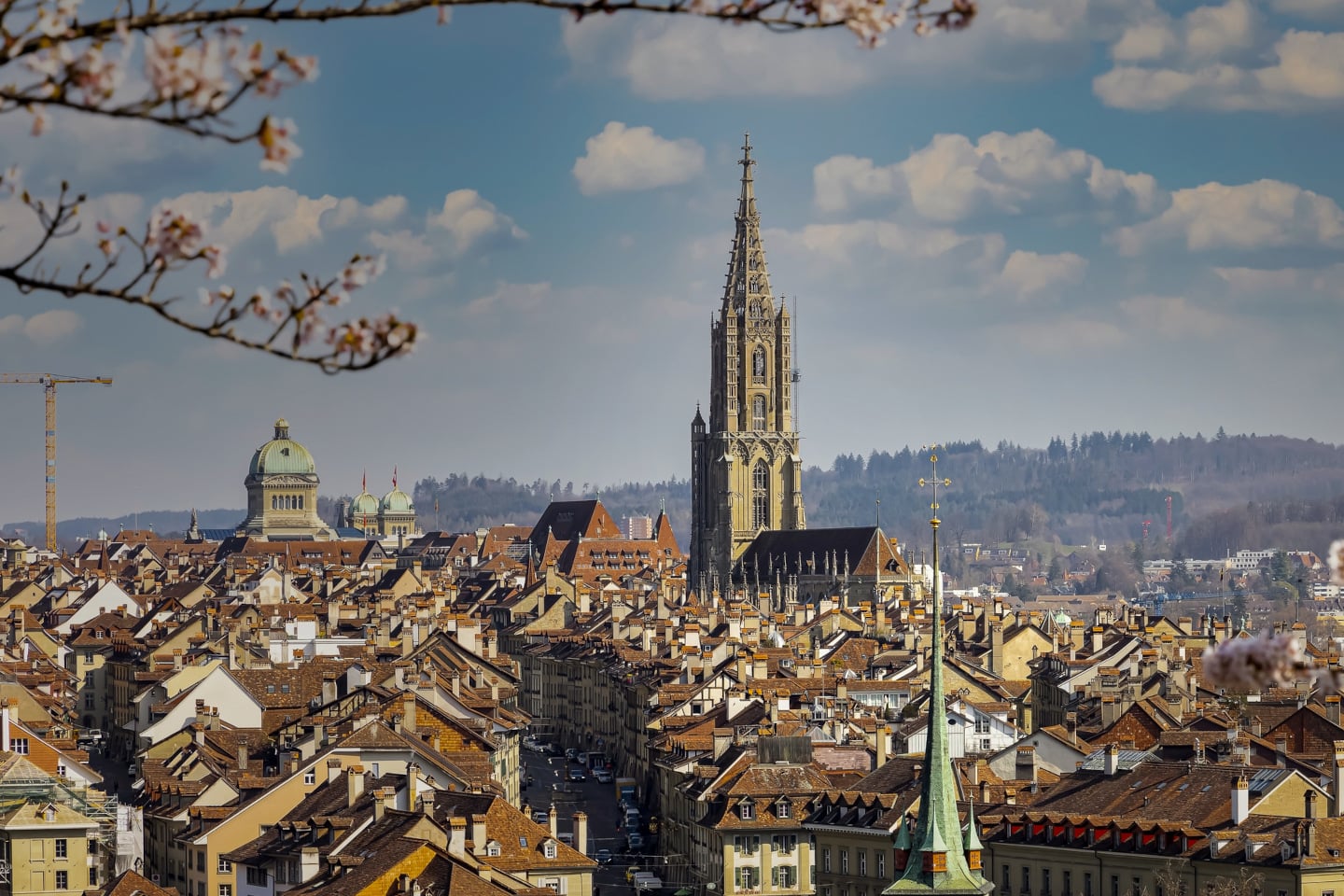 Beautiful view of the landscape of old town in Bern city -Switzerland as the cherry blossom flower in Spring season background iStock 1363265722 3
