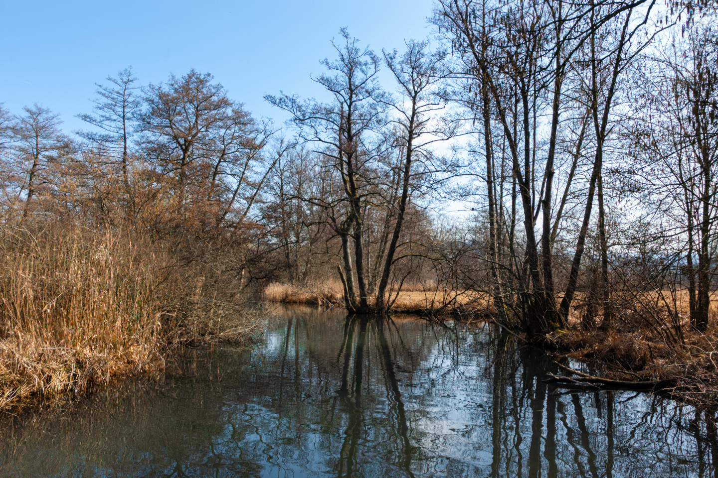 Boniswiler Badi iStock 1475846853 3