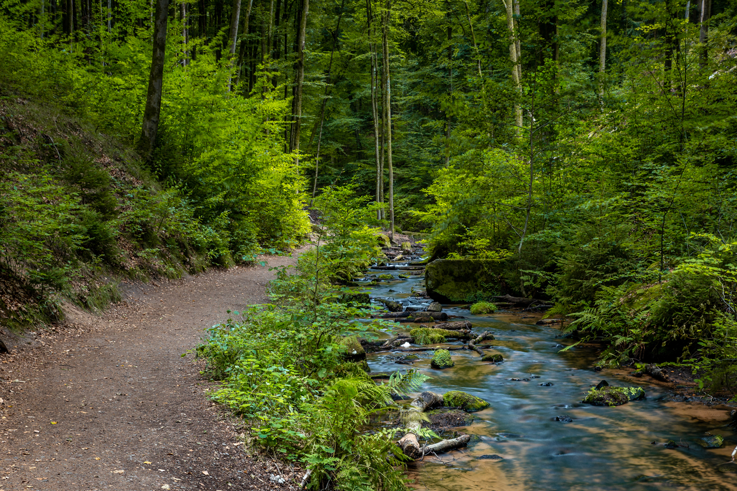 iStock 1536821508 Copy