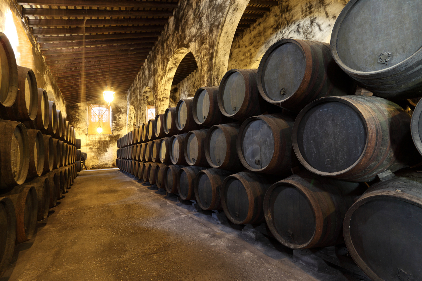 Old wine cellar iStock 156793585