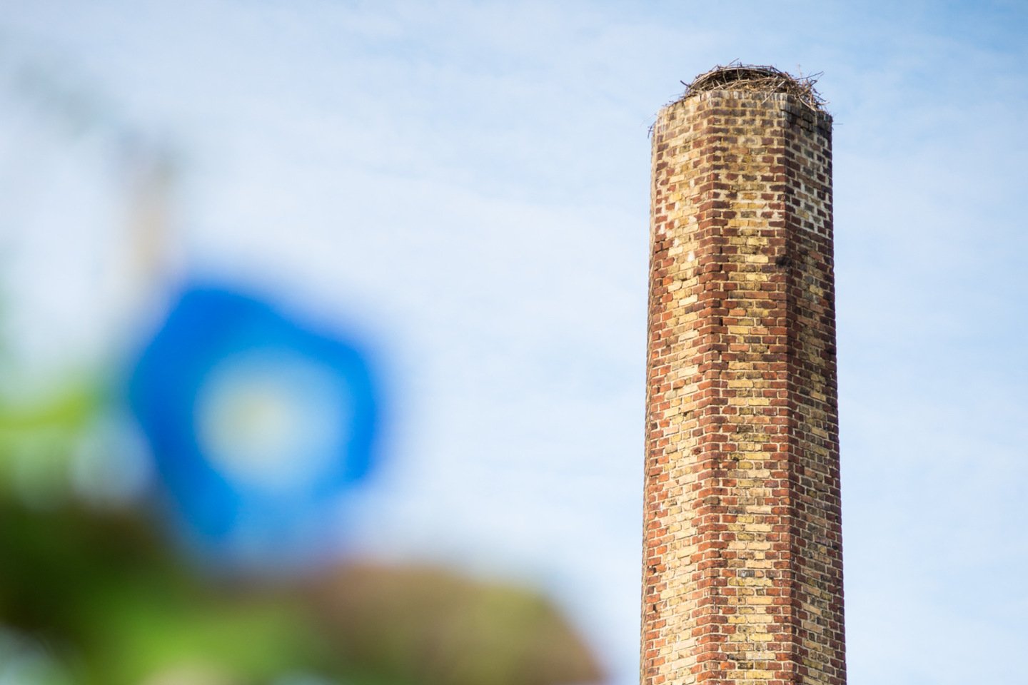 A large old industrial chimney made of red brick iStock 1714339793 3