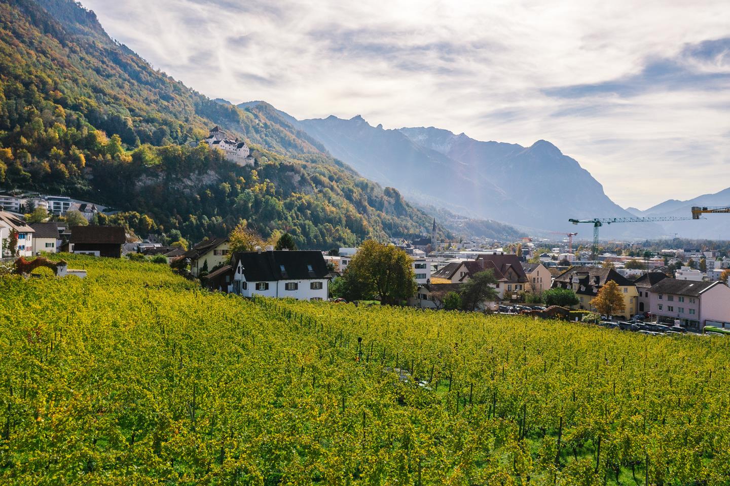 2021 10 20 Naturnahe Weinwirtschaft Wimmeln Hofkellerei 0225 Copy 12