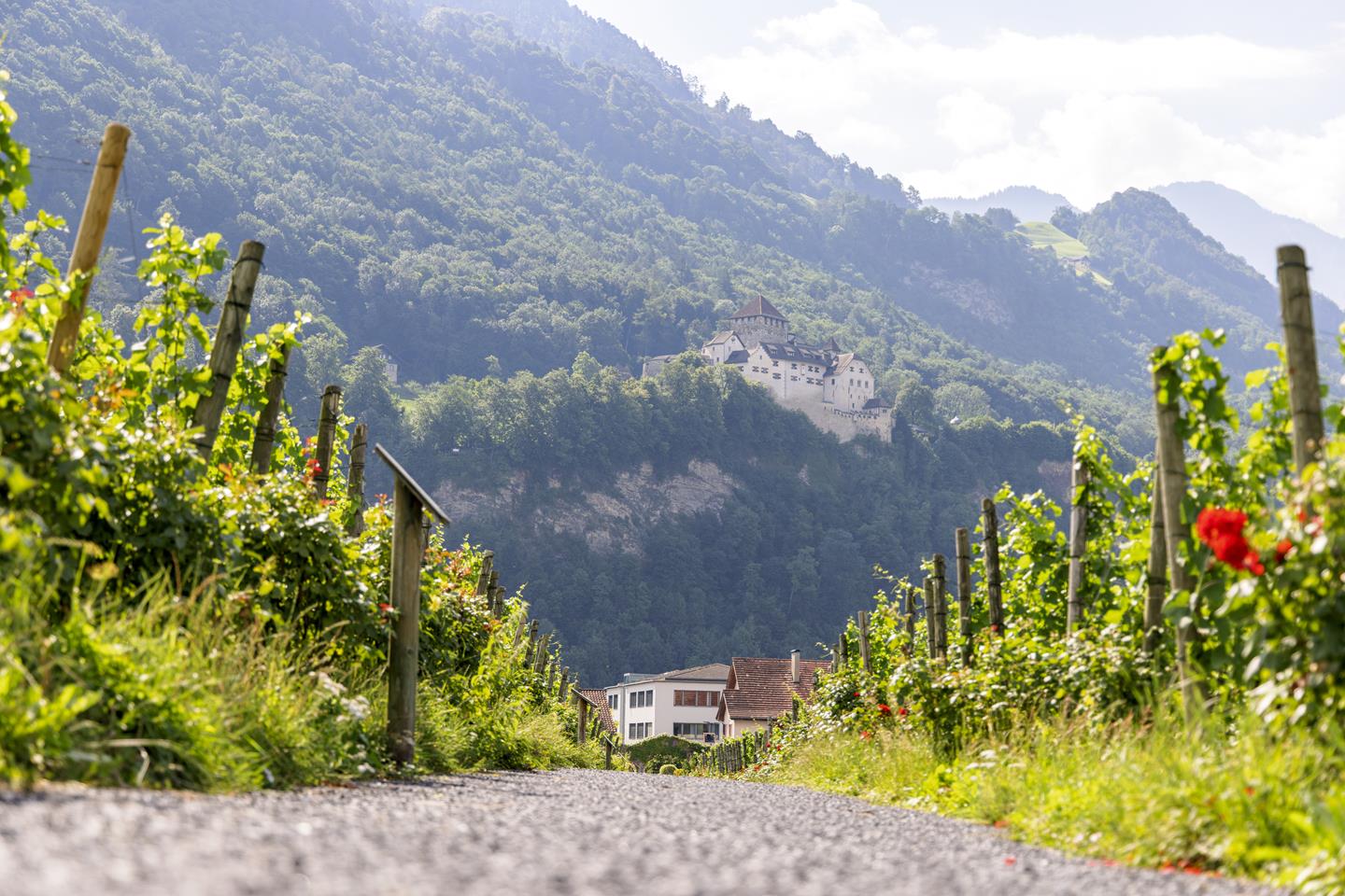 CSP 20220707 Liechtenstein Marketing 275 Copy 12