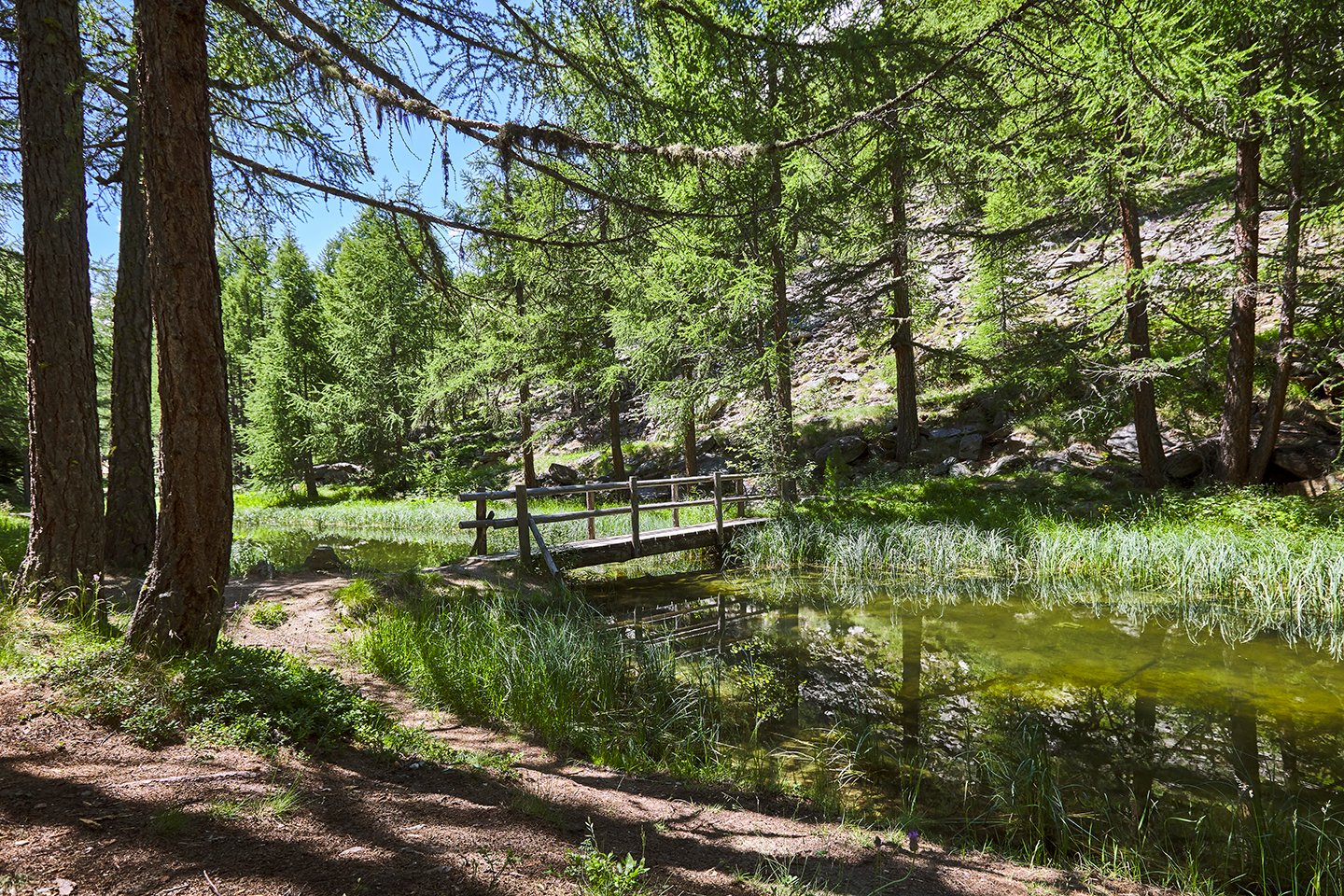 Foxtrail Allalin Maxi Saas Fee Wallis Landschaft 3