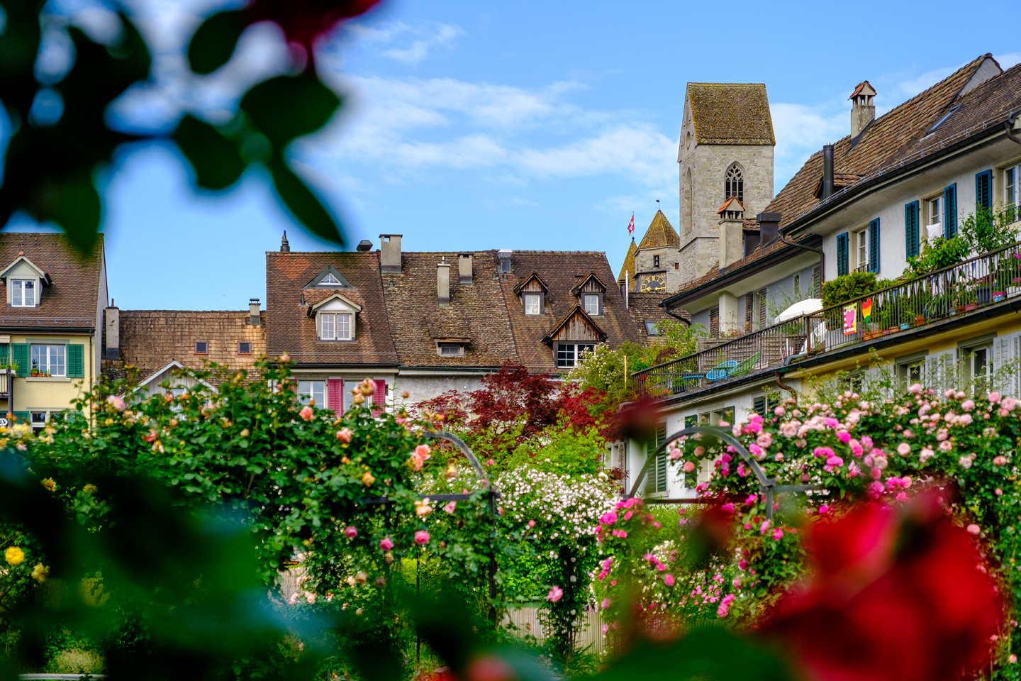 Foxtrail Baccara Rapperswil Zrich Ostschweiz Rosenstadt 25