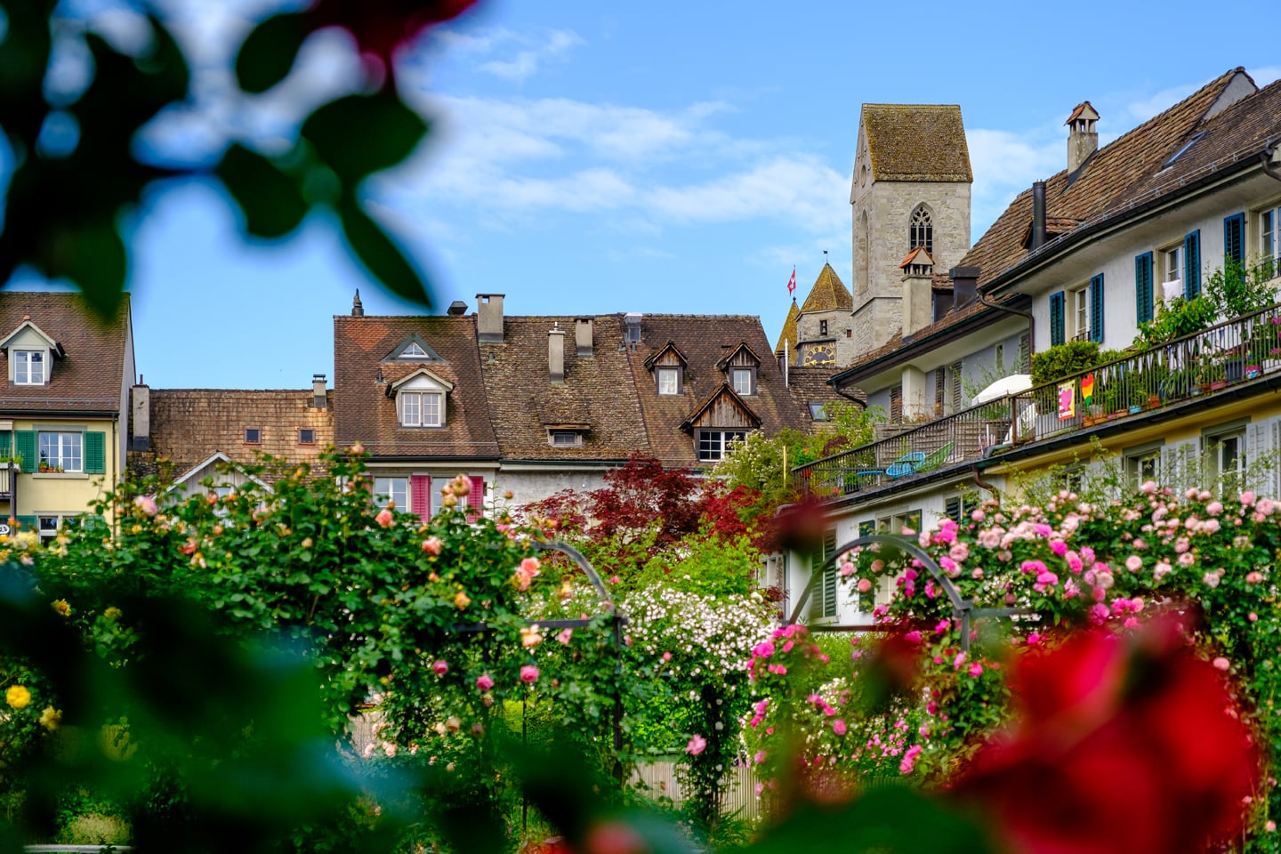 Foxtrail Baccara Rapperswil Zrich Ostschweiz Rosenstadt 6