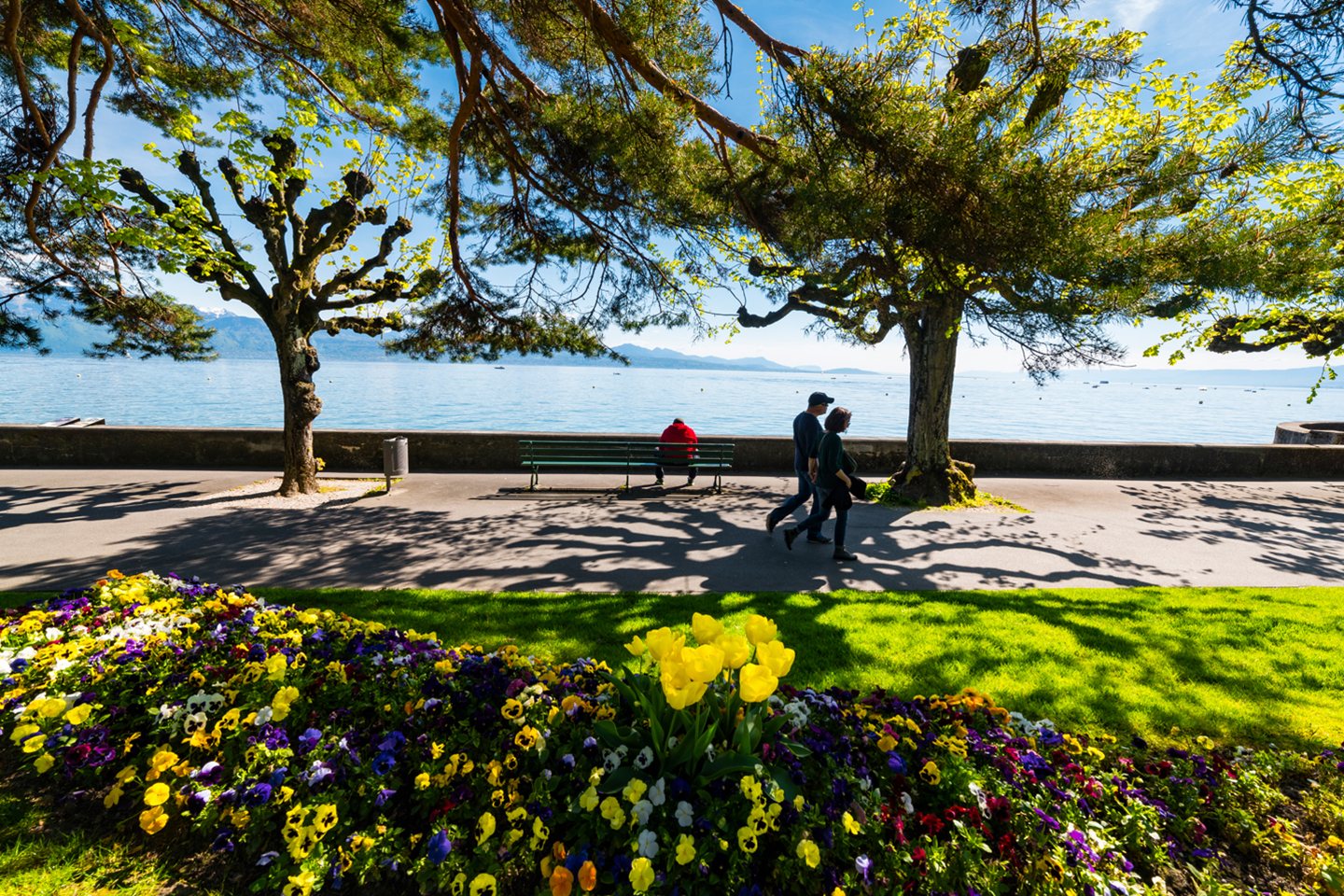 Les quais d'Ouchy Lausanne Foxtrail Citi Lausanne QUAIS OUCHY 23