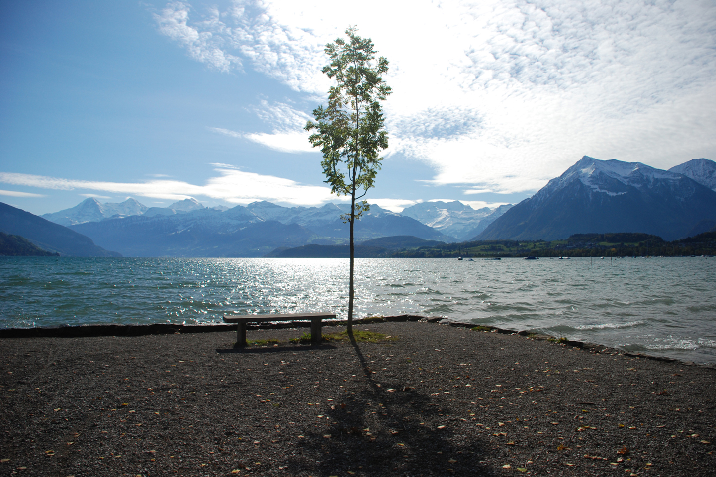 Foxtrail Cityfox Thun Bern Thunersee 4