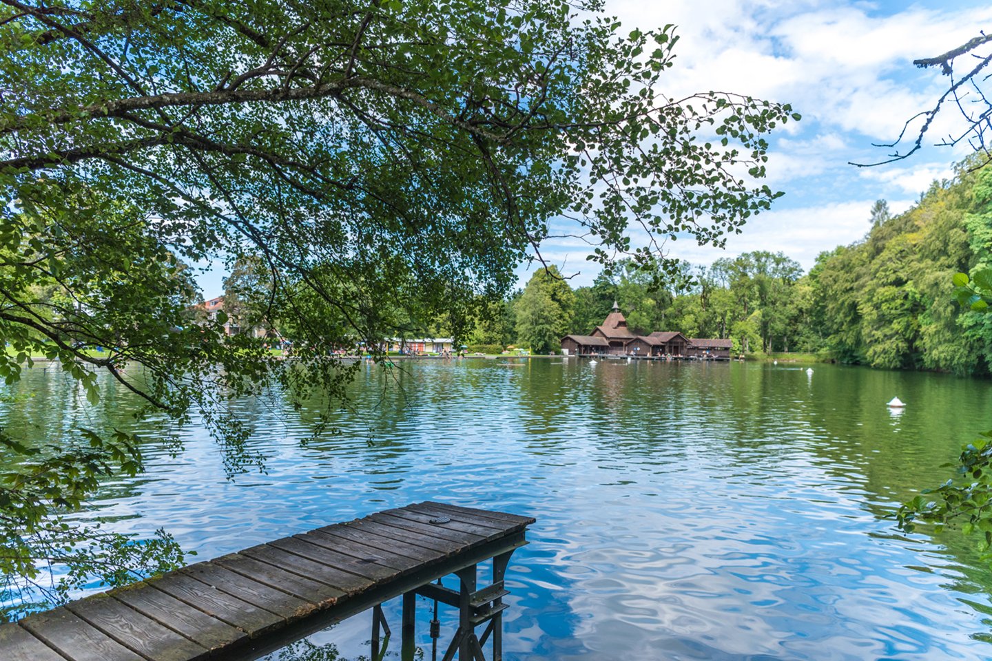 Foxtrail Gallus Stadt St Gallen Ostschweiz Drei Weieren Aussicht Schnitzeljagd
