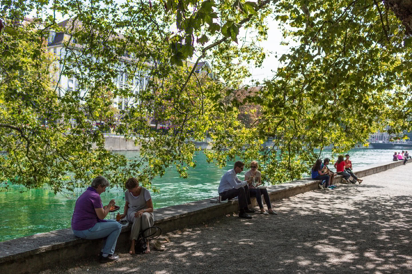 Baum, Picknick, Wasser Foxtrail Hera Zrich Platzspitz Sightseeing 18