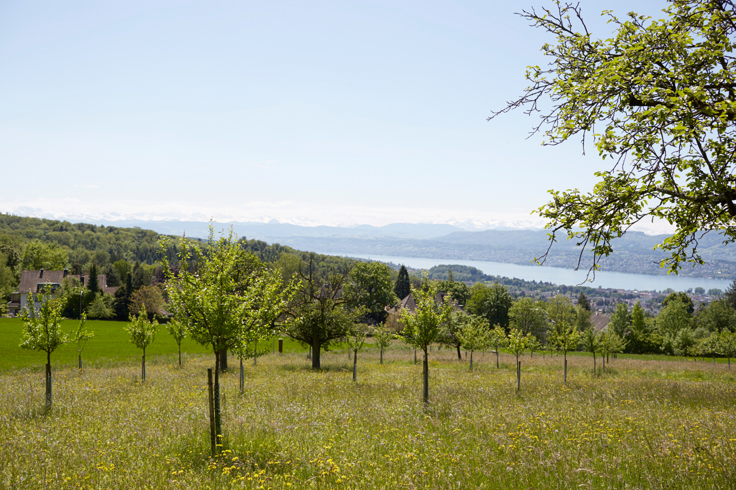 Aussicht vom Zoo aus auf Zuerich, 19. Mai 2014. Photo by Elisabeth Real Foxtrail Ikarus Zrich Header 9