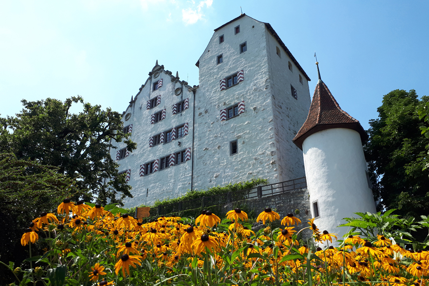 Foxtrail Schloss Wildegg Erlebnis 45