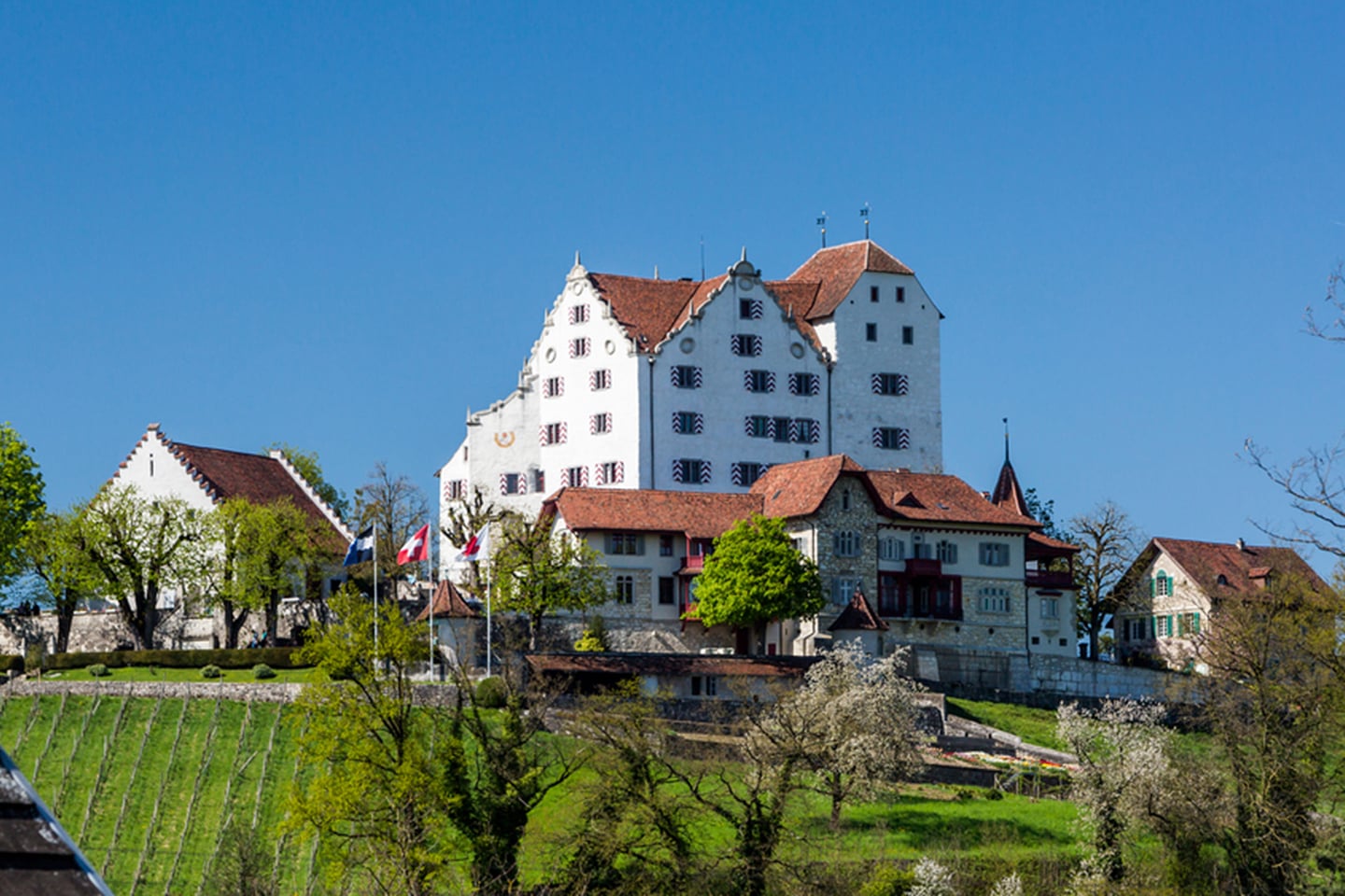 Foxtrail Schloss Wildegg Header 18