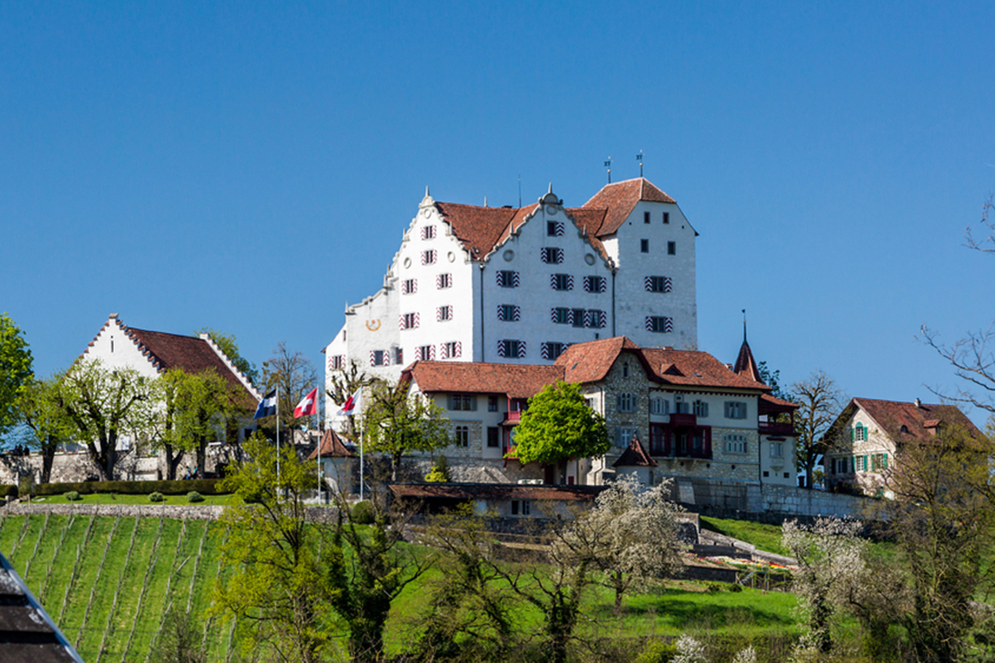 Foxtrail Schloss Wildegg Header 23