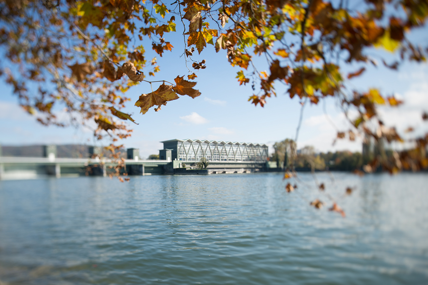 Foxtrail Yellow Basel Rheinkraftwerk Architektur 59