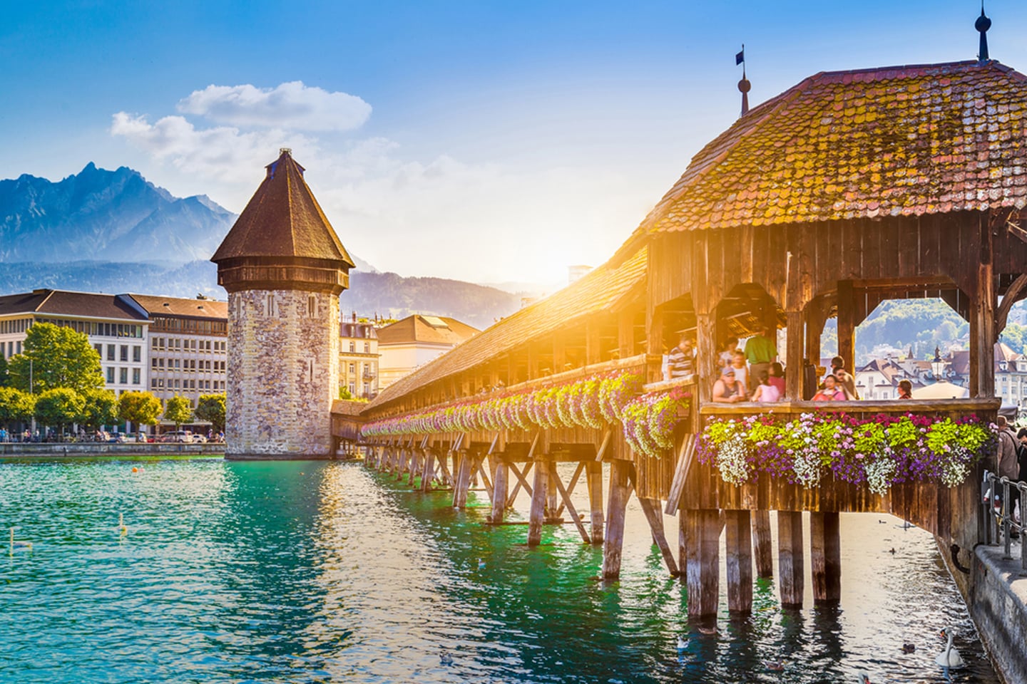 Foxtrail Zeus Luzern Header 24
