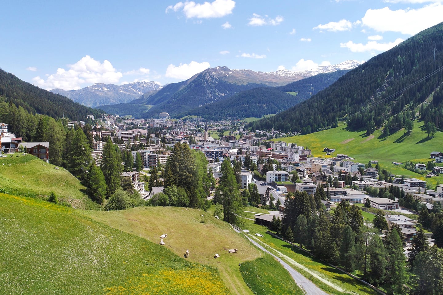 Foxtrail Cuolm Striunau Davos Header