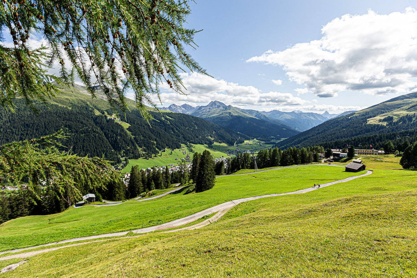 Foxtrail Cuolm Davos Header 34