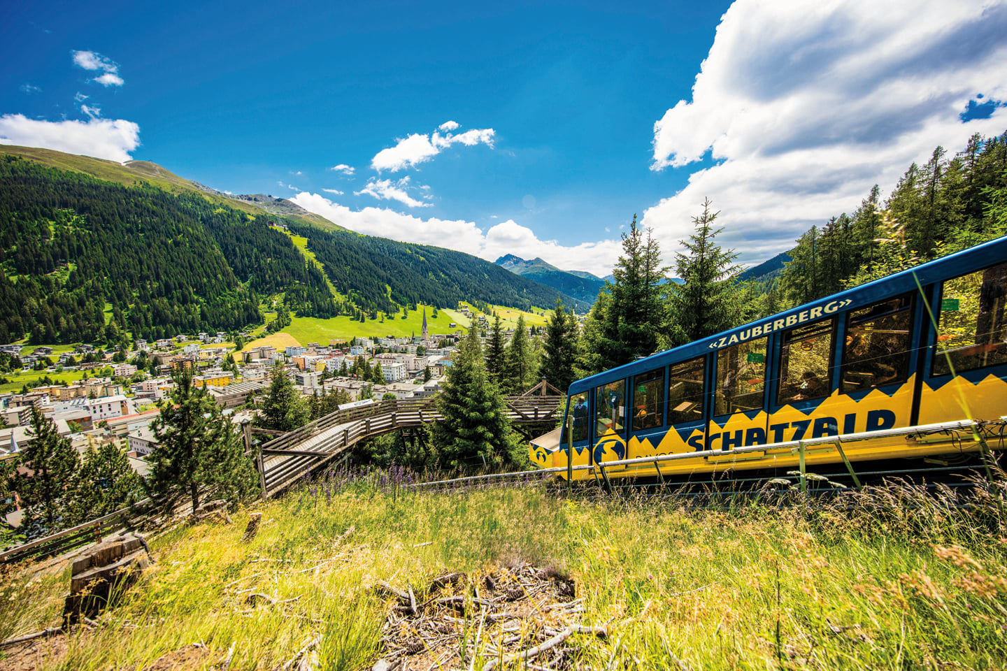 Foxtrail Cuolm Striunau