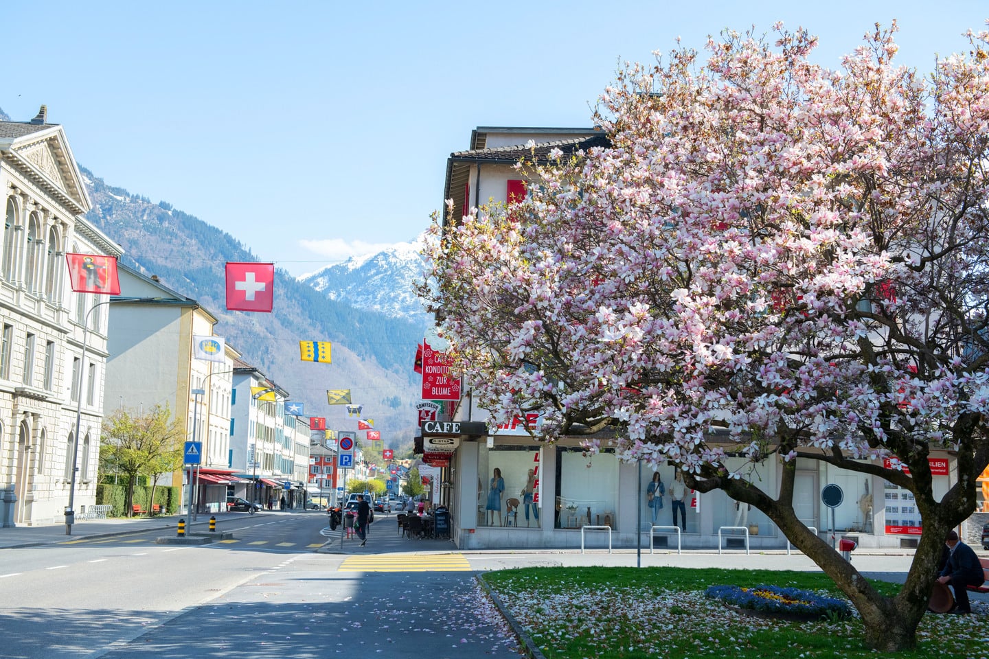 Fruehling Glarus Laeden MAY DSC 21