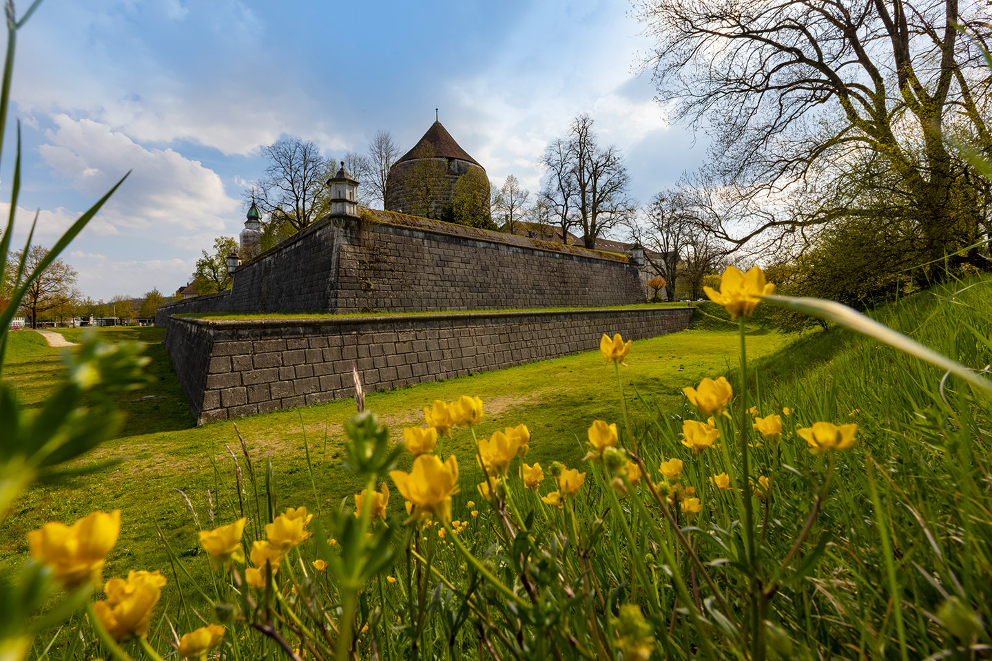 Riedholzschanze Solothurn Frhling 3 Solothurn Tourismus Tino Zurbrgg 12