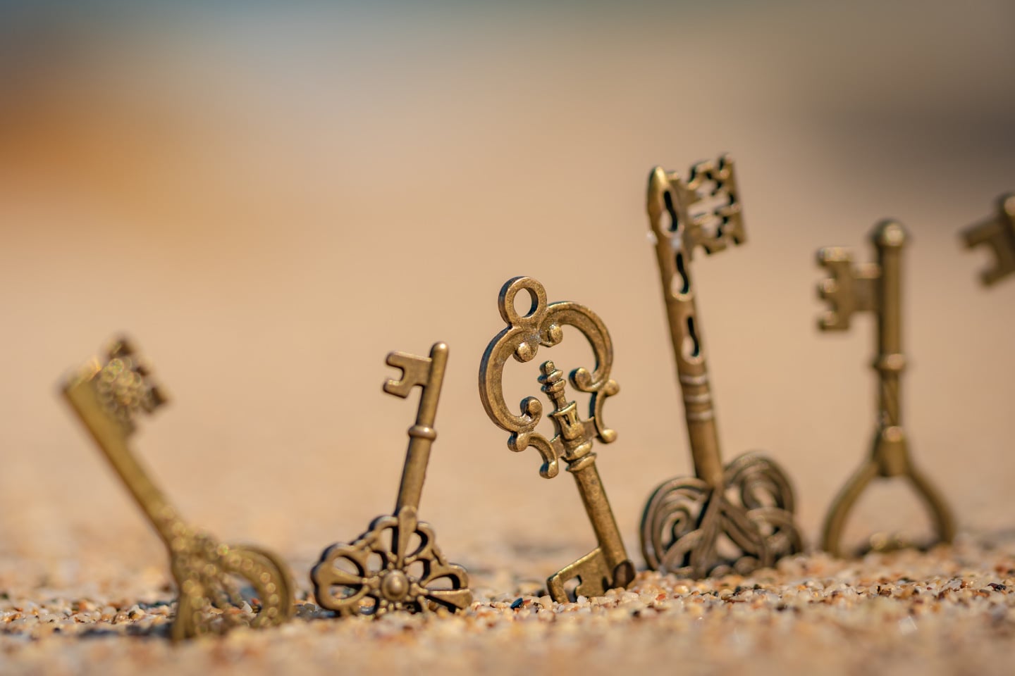 iStock 1129191233 22