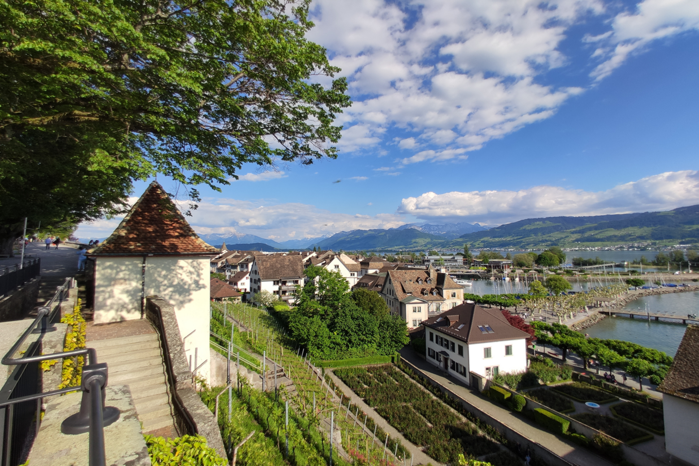 iStock 1155515934 Copy 4