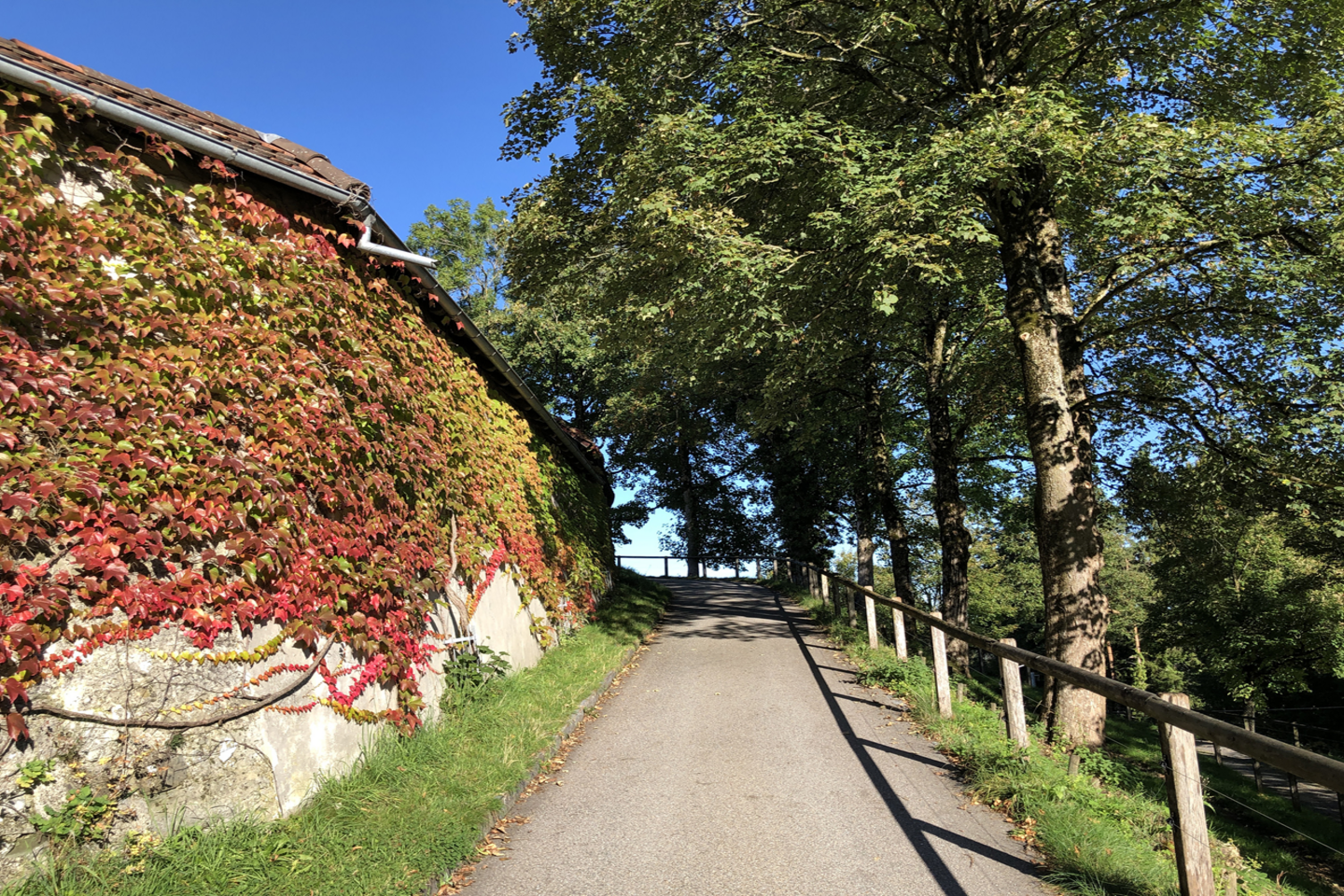 iStock 1251100941 Copy