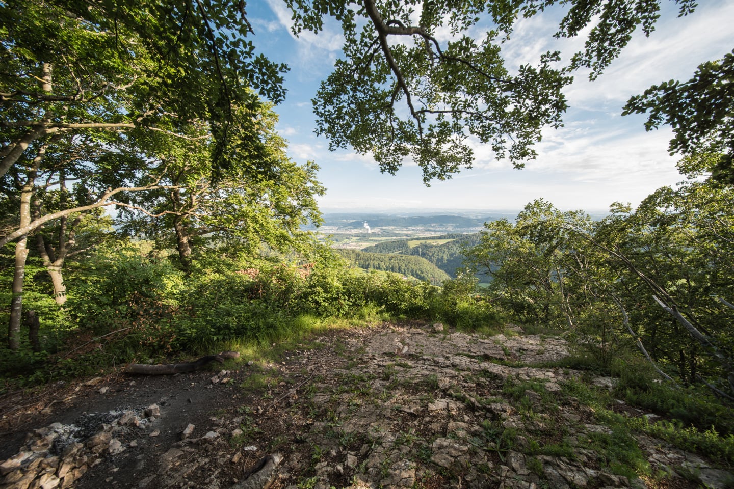 iStock 1255223474 12