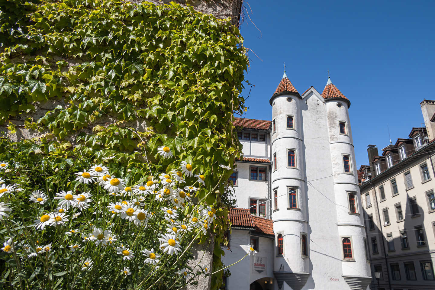 iStock 1284725513 Copy 3