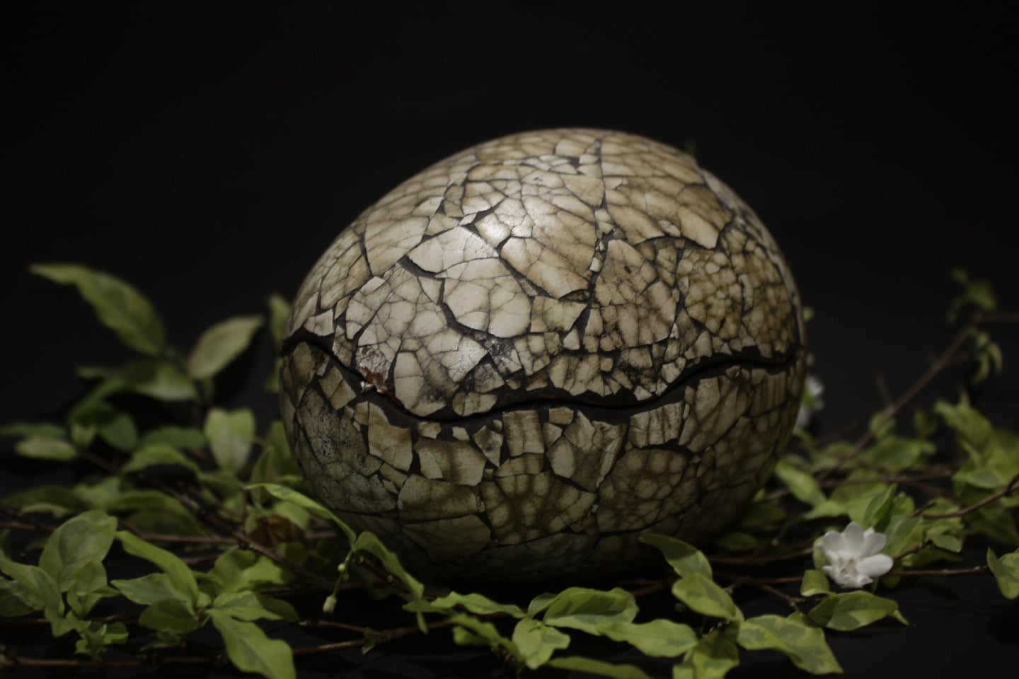 Cracked Dragon Egg on Black Background. iStock 1287052354 12