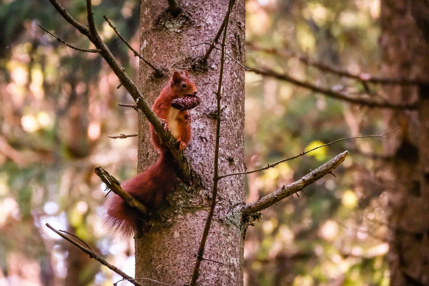 iStock 1409820004 Copy 9