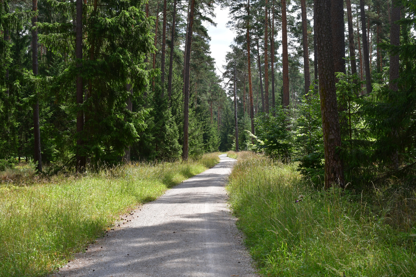 iStock 1411853832 26