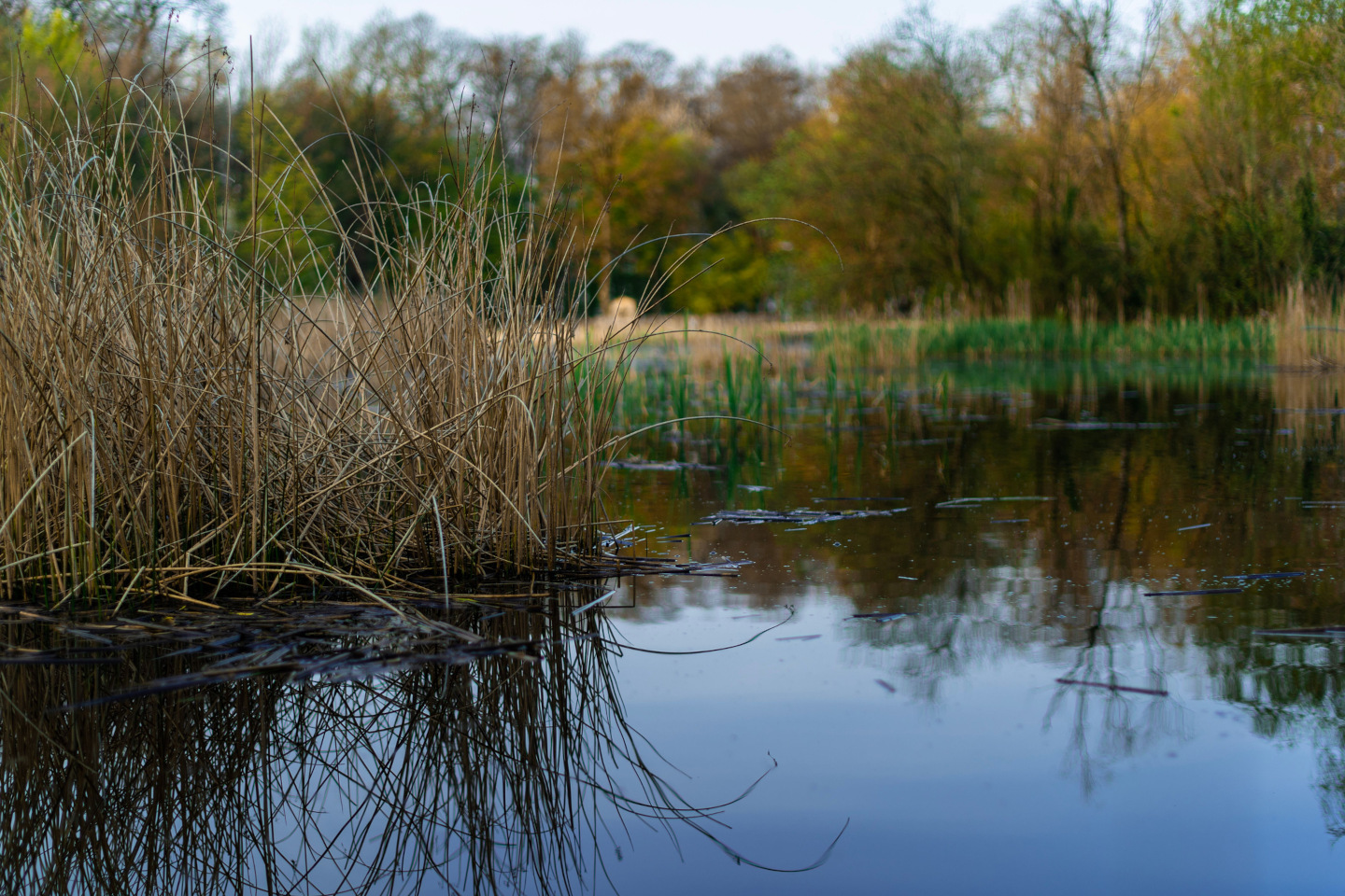 iStock 1443454493 18