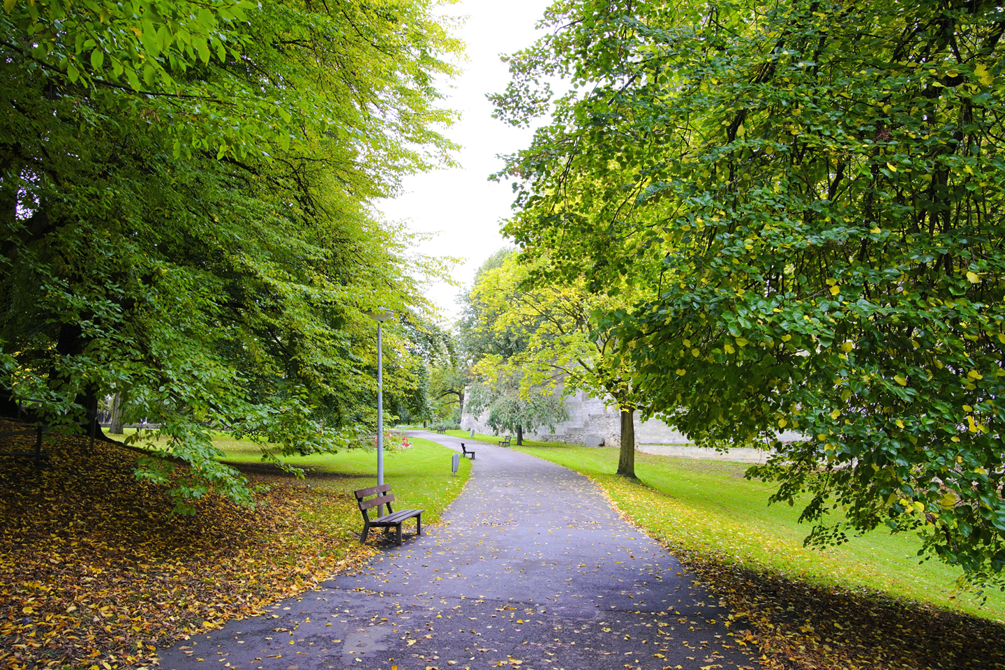 iStock 1452355744 Copy 3