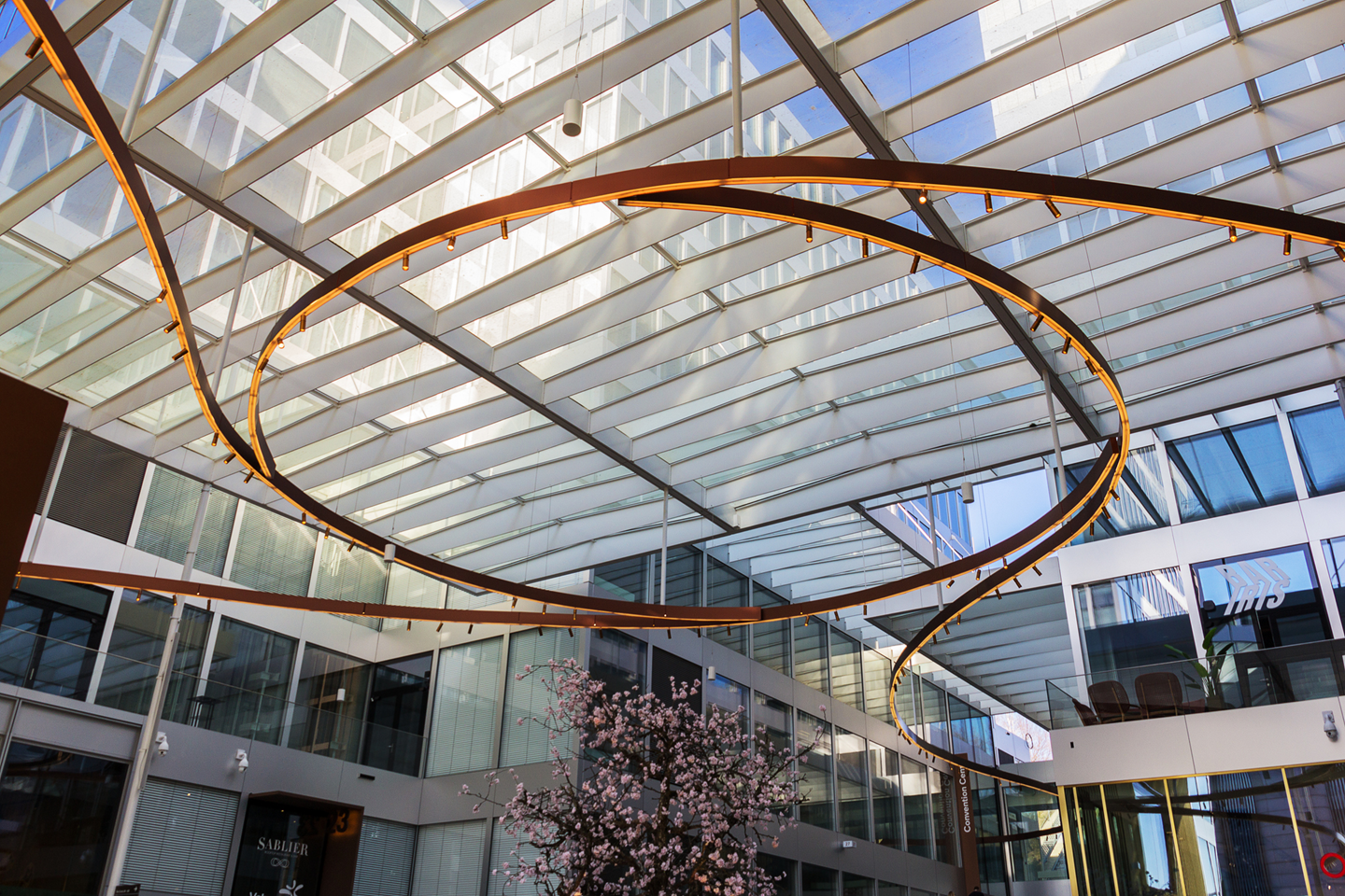 iStock-1478016806-Copy-15 iStock 1478016806 Copy 15