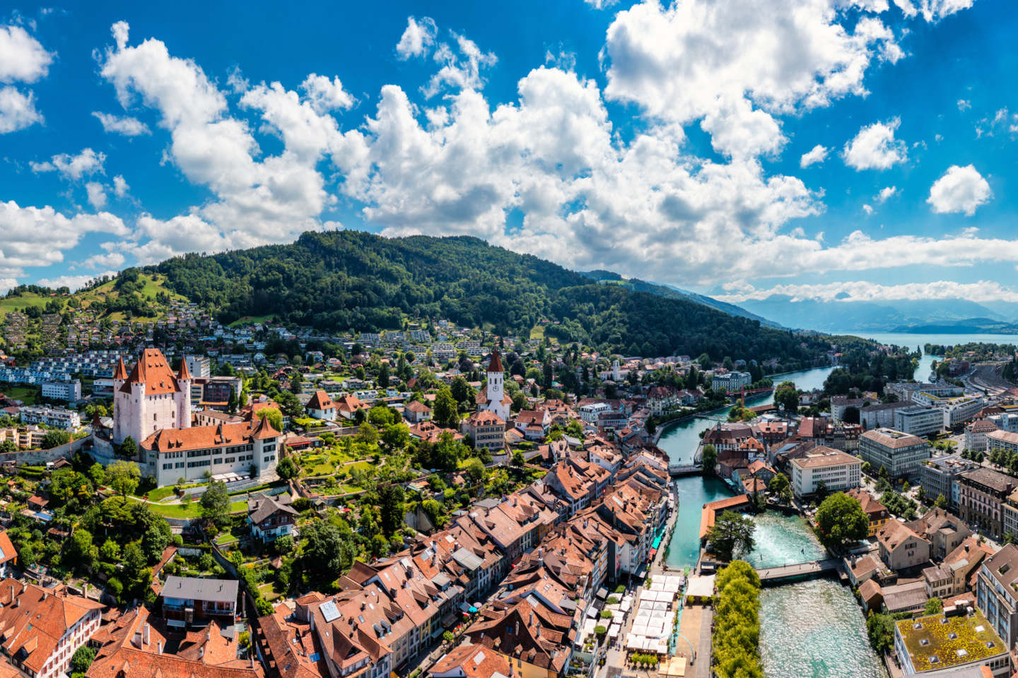 iStock 1484654055 13