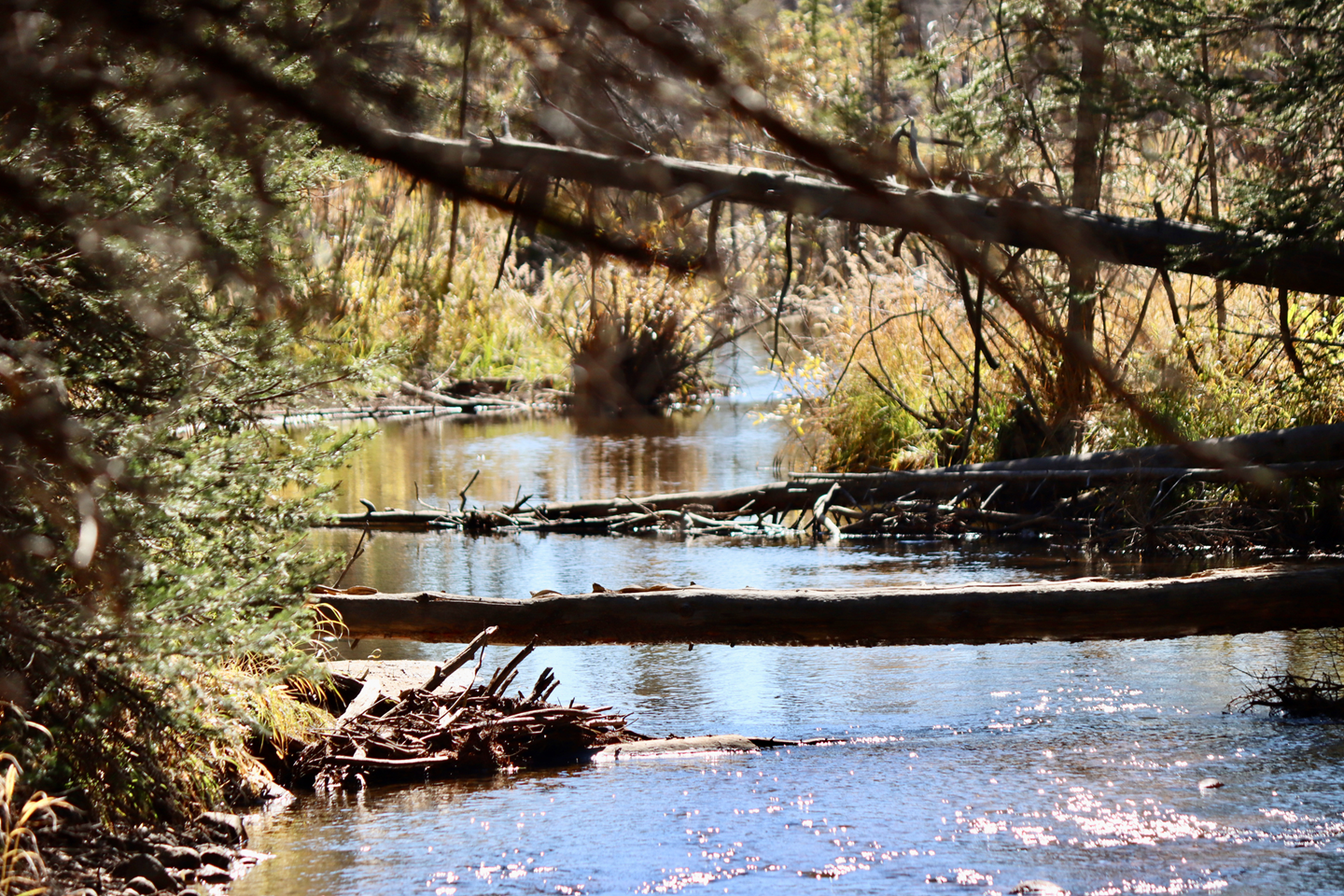 iStock-1724393038-Copy-12 iStock 1724393038 Copy 12