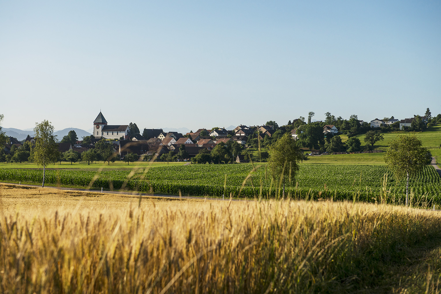 Effretikon Gesamtaufnahme Fotografie ilef juli17 0287